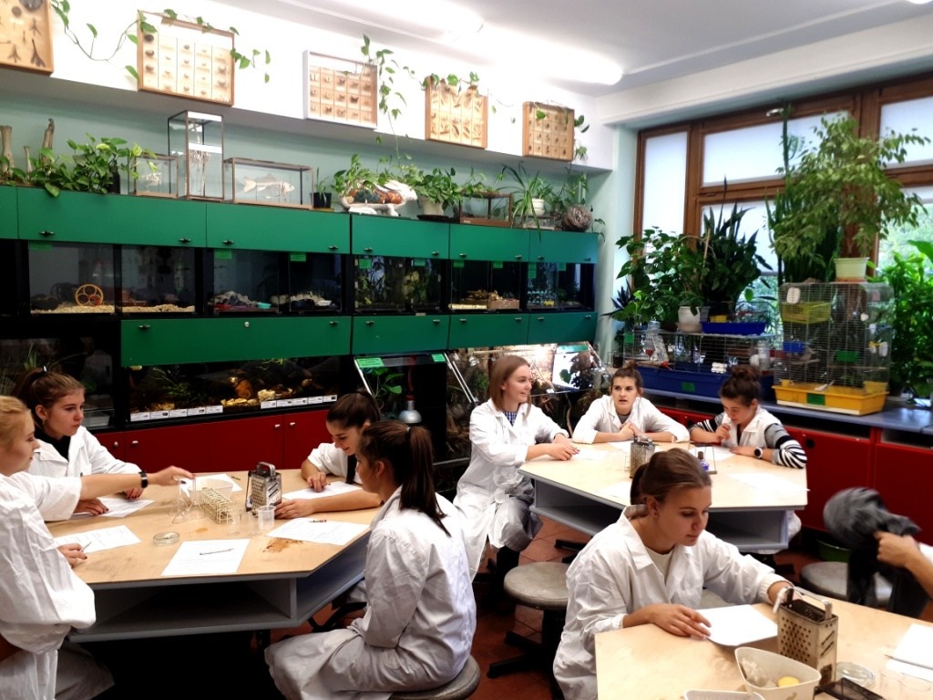 Warsztaty laboratoryjne w Pałacu Młodzieży w Katowicach