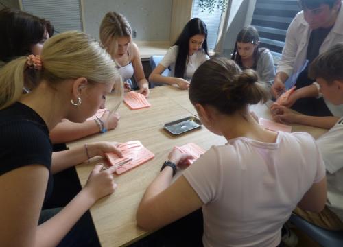 Anatomia w pigułce