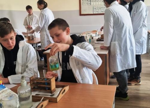 Warsztaty matematyczno - przyrodnicze dla ósmoklasistów