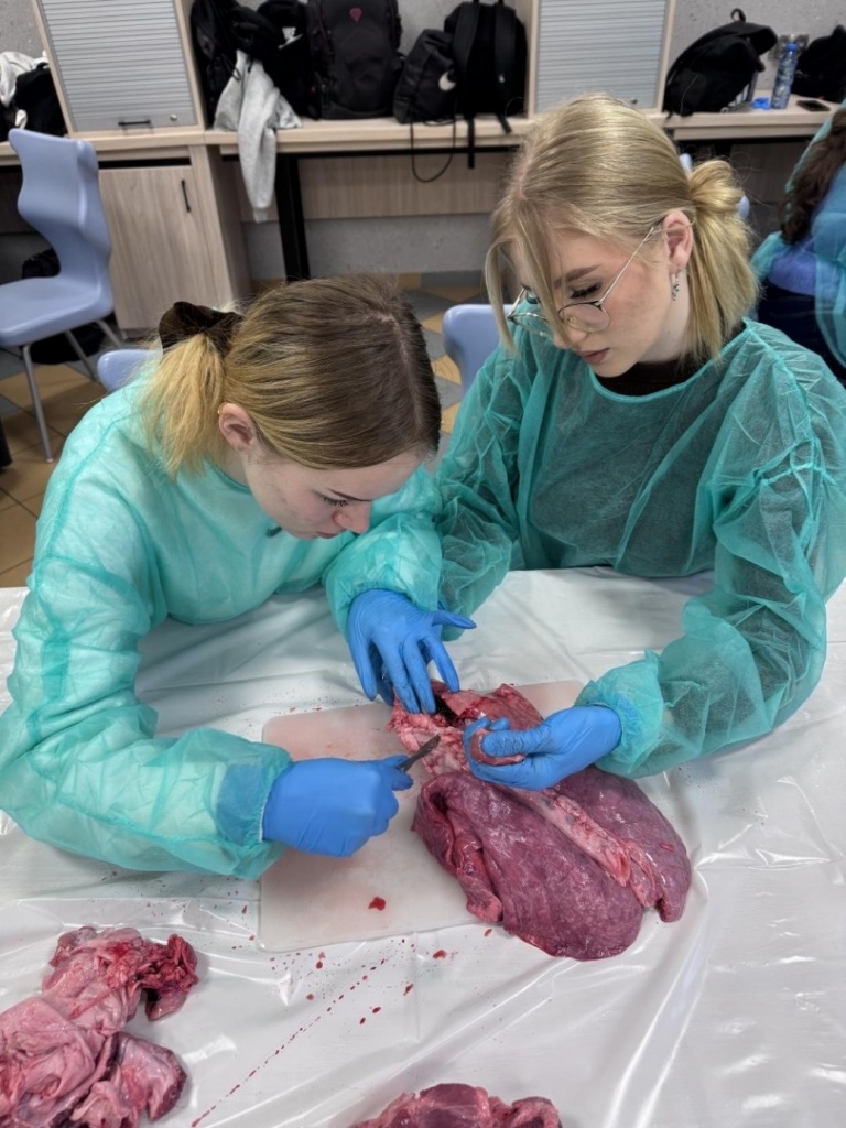 Biologia  w praktyce
