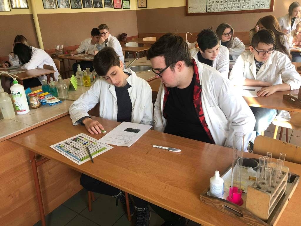 Warsztaty przyrodniczo- matematyczne dla uczniów szkoły podstawowej