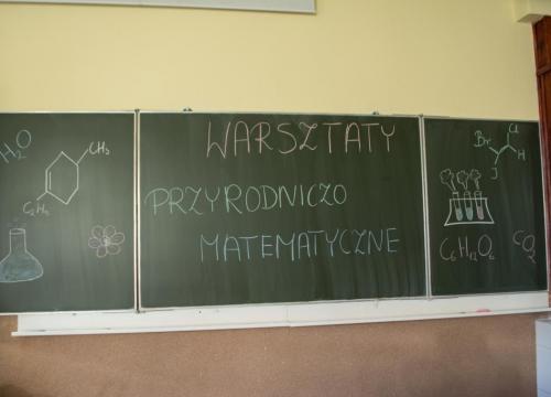 Warsztaty matematyczno  - przyrodnicze 