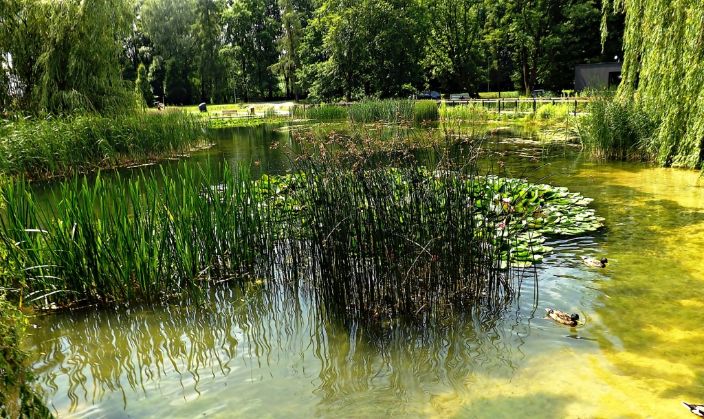 Krakowskie szaleństwa