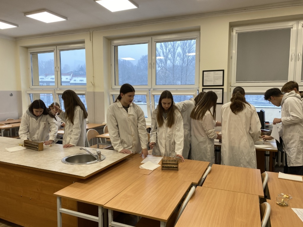 Warsztaty biol-chem 2023 II
