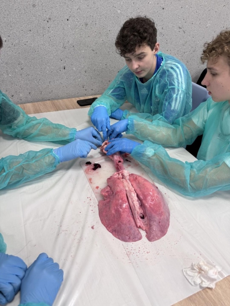 Biologia  w praktyce